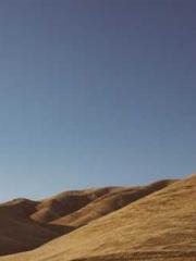 lt;Gingerly, Shen Qi