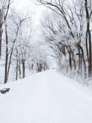 Spring fills Beijing