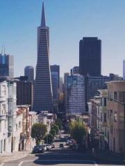 Transmigration: Feel